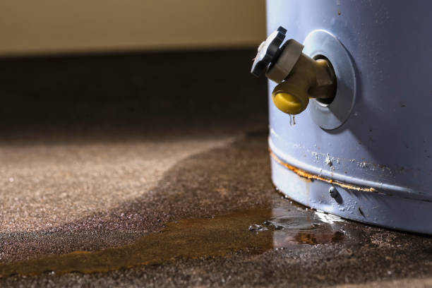 Best Carpet water damage restoration  in Alamosa, CO