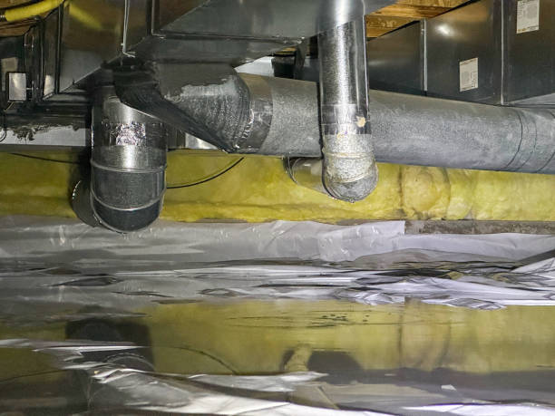 Best Professional water damage repair  in Alamosa, CO