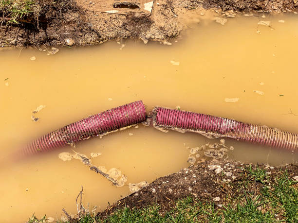 Best Water damage restoration near me  in Alamosa, CO